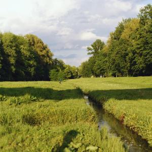 Park Wodziczki | 2023