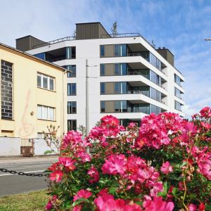 Pułaskiego 19 | Wrzesień 2025