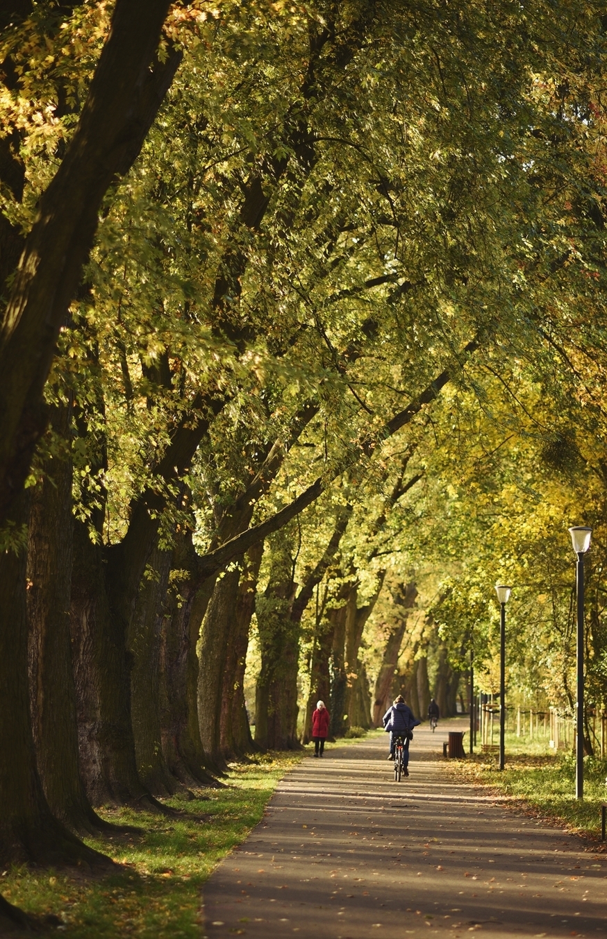 Zdjęcie parku Wodziczki niedaleko inwestycji deweloperskiej Pułaskiego 19