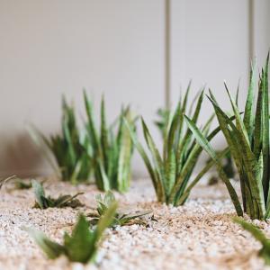 Pułaskiego 19 | Wrzesień 2025