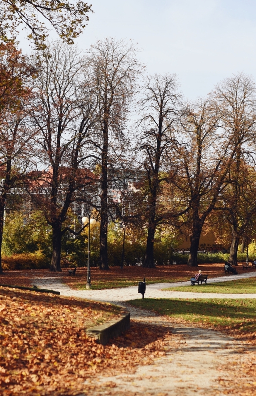 Zdjęcie parku Wieniawskiego w okolicy inwestycji mieszkaniowej Pułaskiego 19
