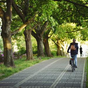 Wzgórze Św. Wojciecha | 2023