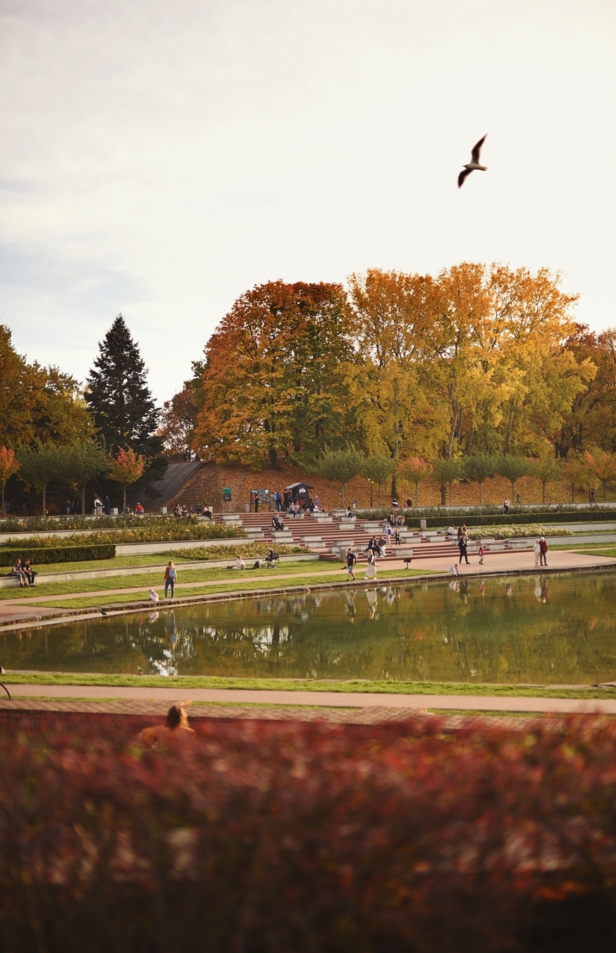 Zdjęcie parku Cytadela niedaleko inwestycji Pułaskiego 19