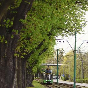 ul. Pułaskiego i okolice | 2023