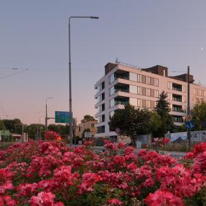 Plac budowy | Czerwiec 2025