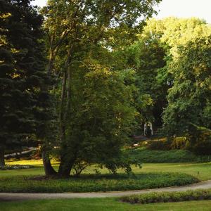 Wzgórze Św. Wojciecha | 2023