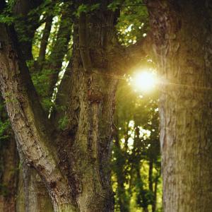 Park Wodziczki | 2023