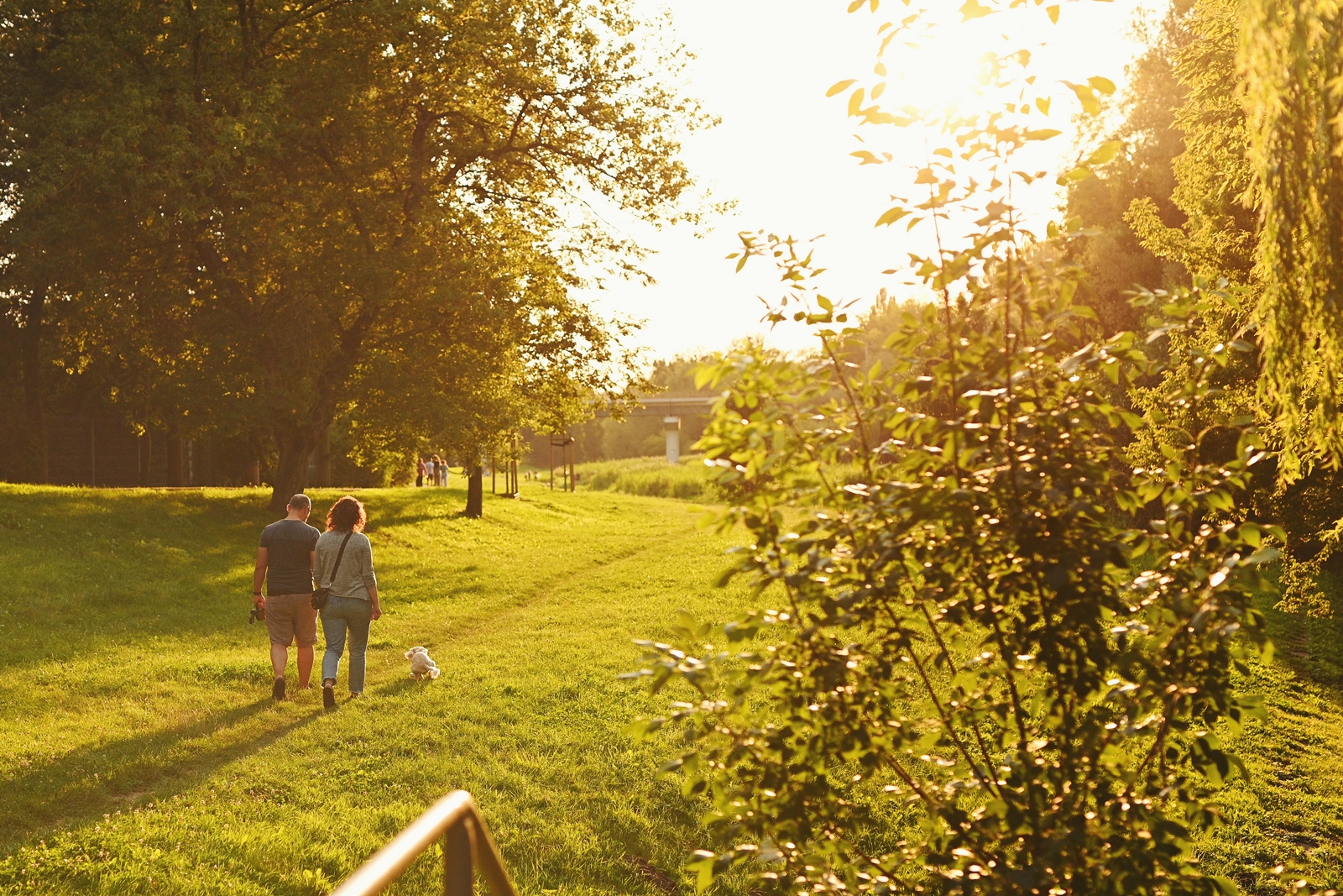 Poznaj standard wykończenia Pułaskiego19