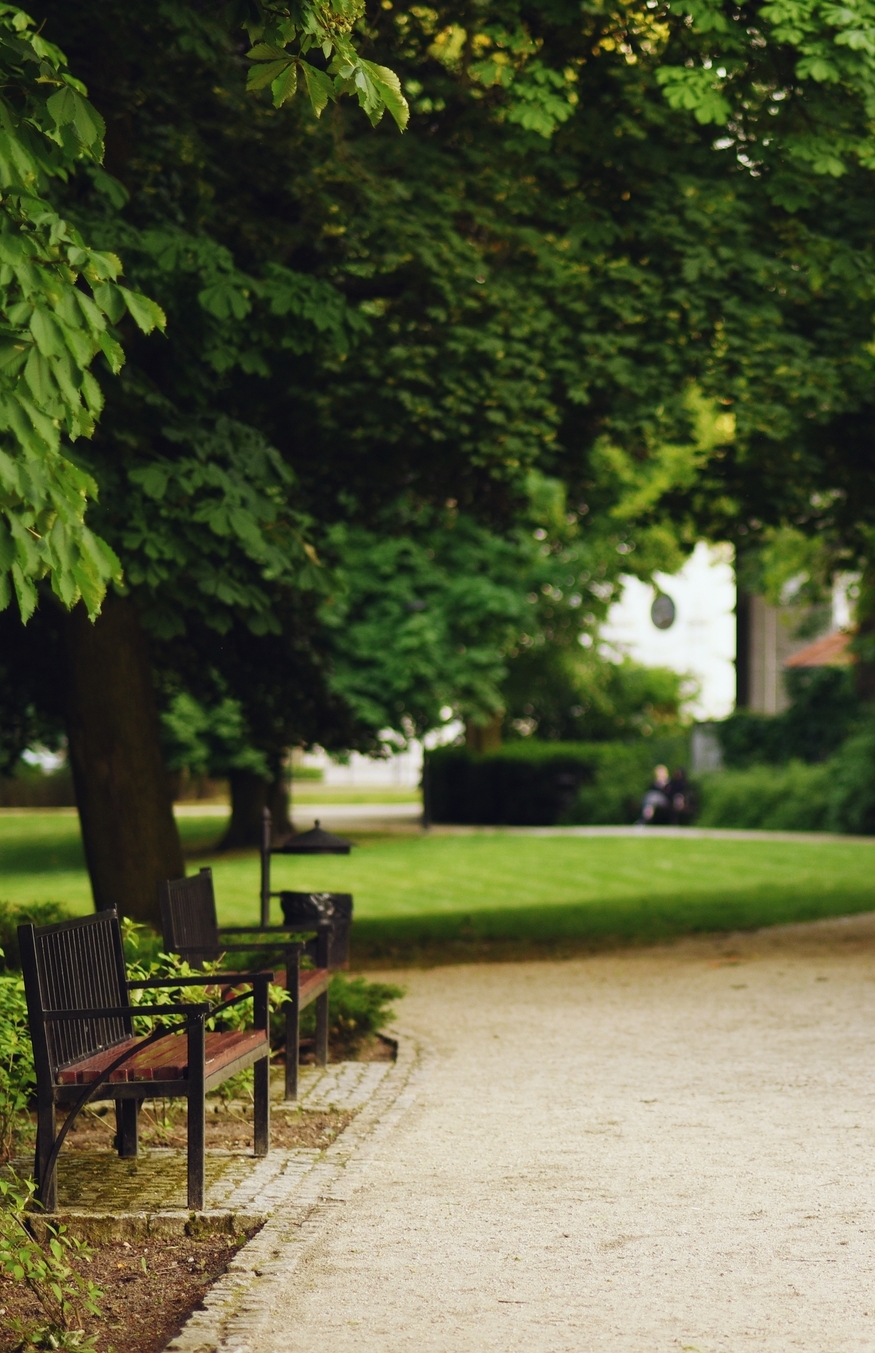 Zdjęcie parku Moniuszki w pobliżu inwestycji Pułaskiego 19