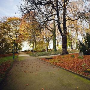 Wzgórze Św. Wojciecha | 2023