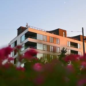 Plac budowy | Czerwiec 2025