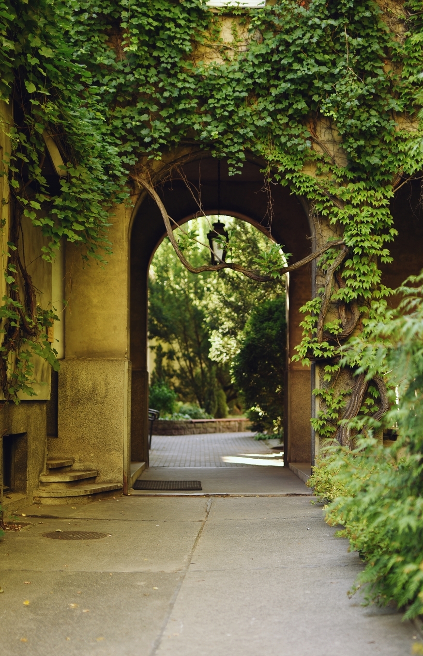 Zdjęcie okolicy nowej inwestycji deweloperskiej Pułaskiego 19 w Poznaniu