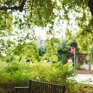 Park Moniuszki | 2023