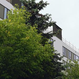 Plac budowy | Maj 2025