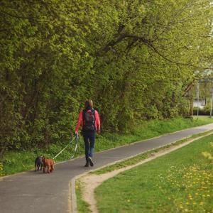 ul. Pułaskiego i okolice | 2023