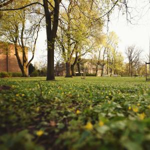 Park Moniuszki | 2023