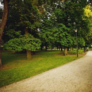 Park Moniuszki | 2023