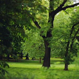 Park Moniuszki | 2023