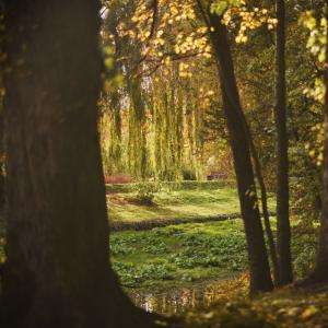 Park Wodziczki | 2023