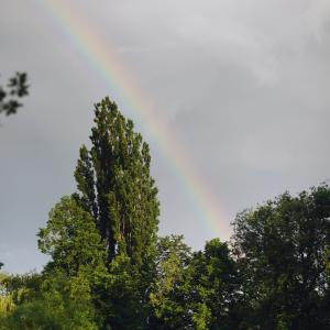 Park Wodziczki | 2023