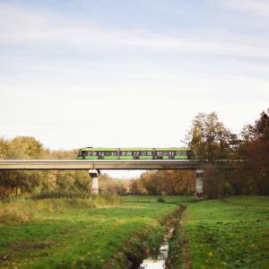 Park Wodziczki | 2023