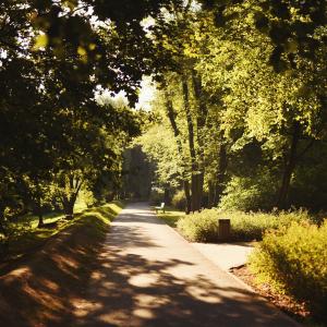 Park Wodziczki | 2023