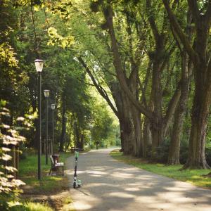 Park Wodziczki | 2023