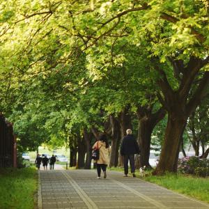 Wzgórze Św. Wojciecha | 2023