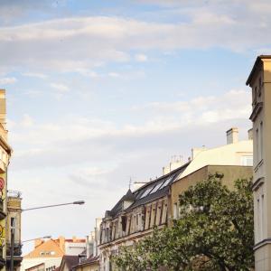 Wzgórze Św. Wojciecha | 2023