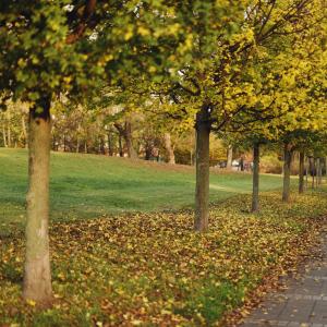 Wzgórze Św. Wojciecha | 2023