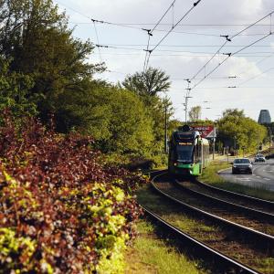 ul. Pułaskiego i okolice | 2023