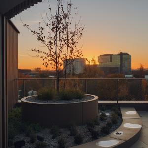 Pułaskiego 19 | Październik 2025